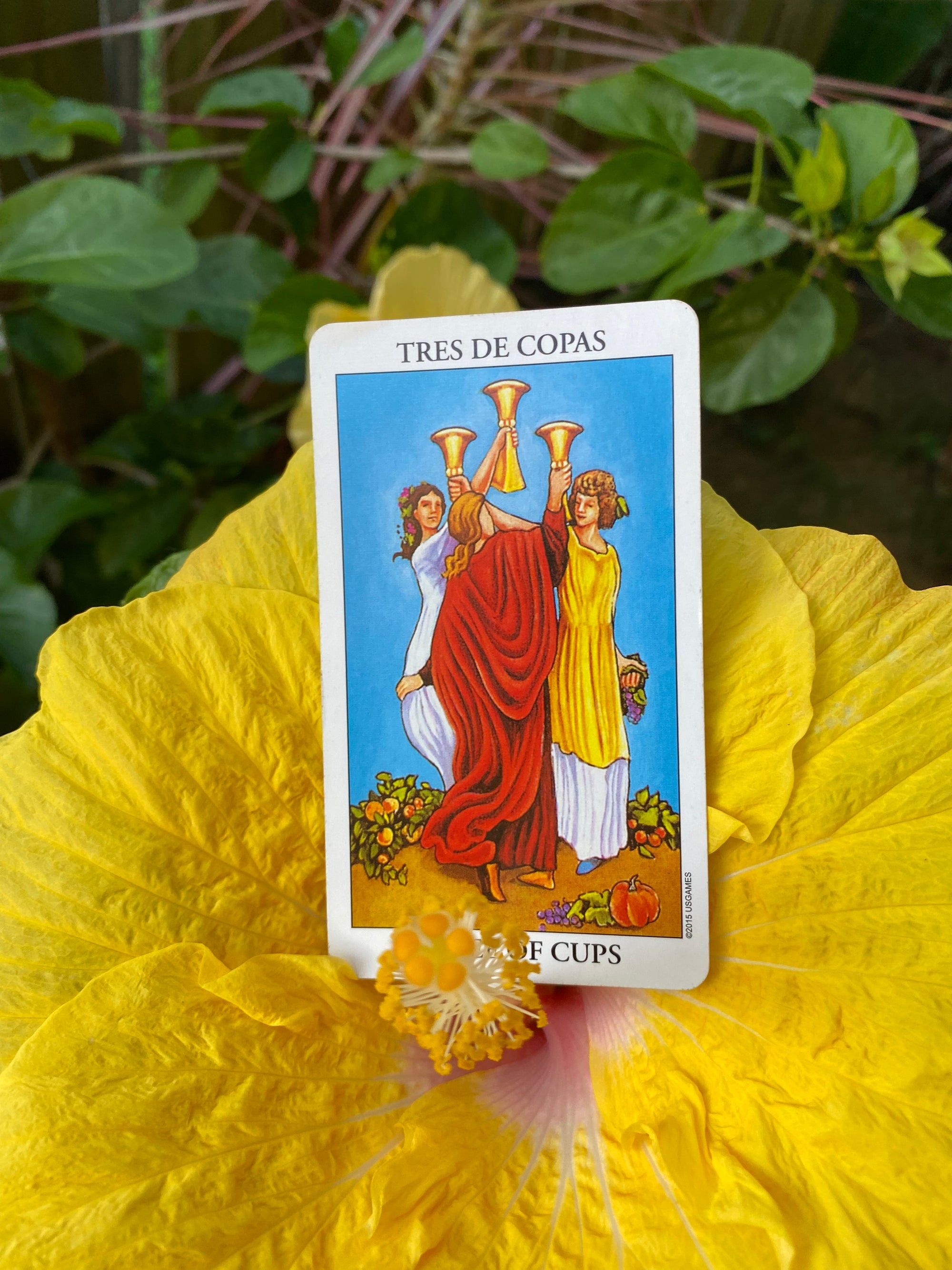 Tarot Video Grabado de 30 minutos