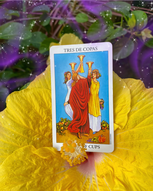 3 - 5 Preguntas | Video Grabado de 30 mins