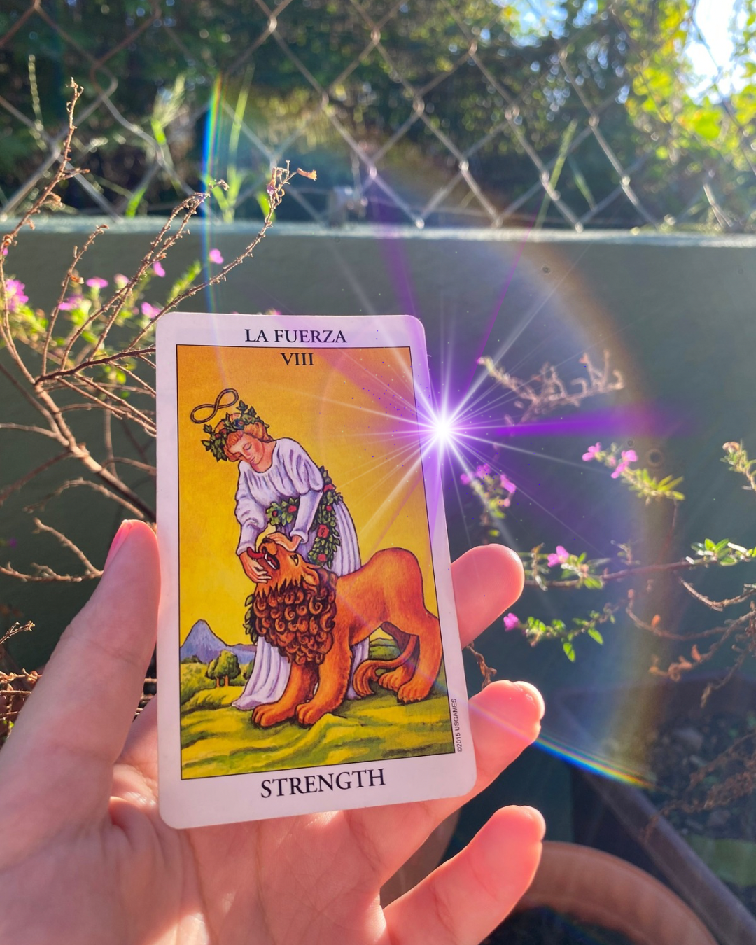 Respuesta en 24hrs | Video Grabado